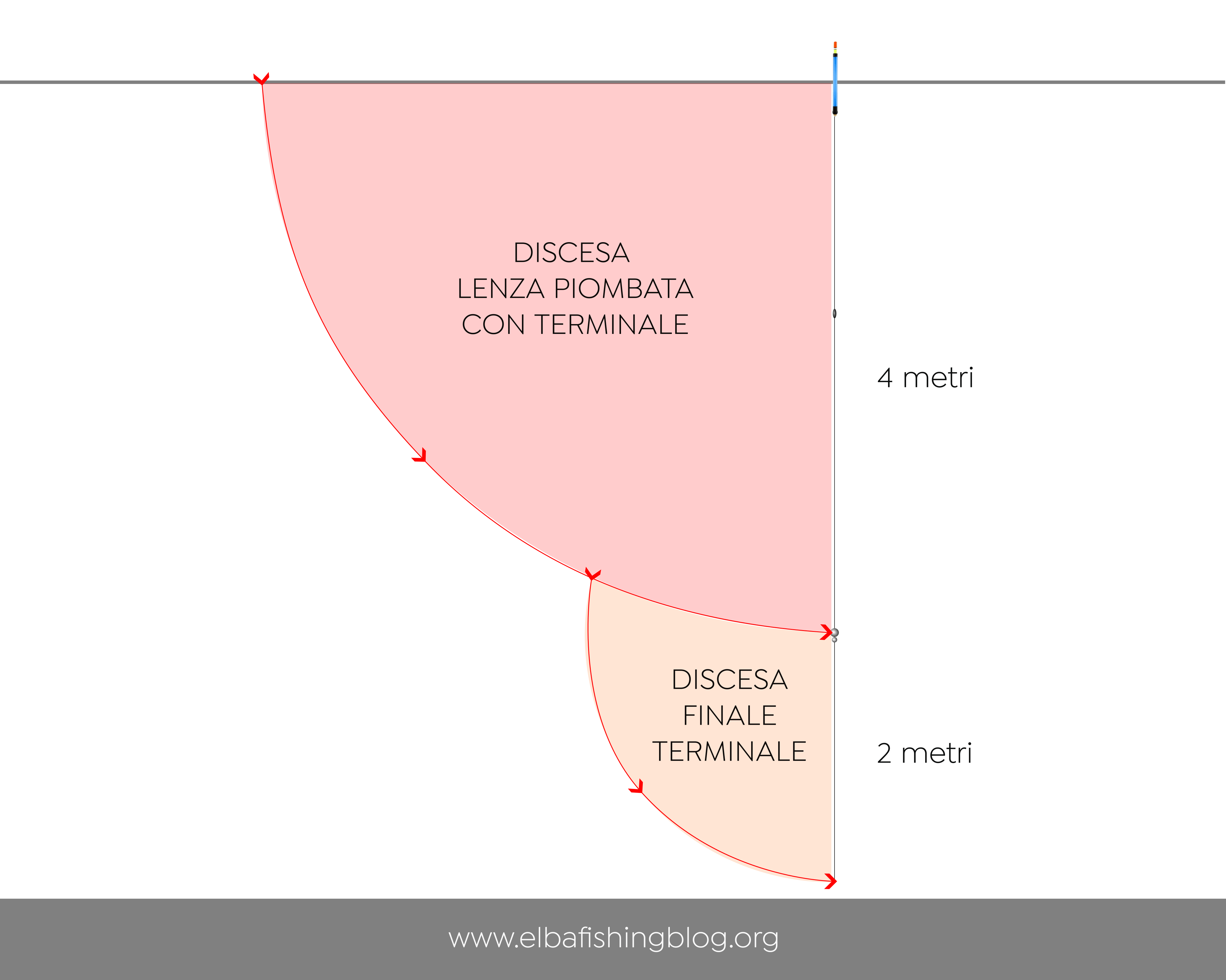 Discesa bigattino mare dinamica